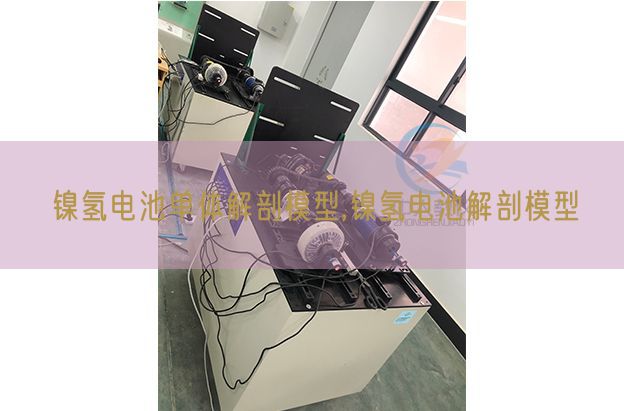 鎳氫電池單體解剖模型,鎳氫電池解剖模型(圖1) 鎳氫電池單體解剖模型,鎳氫電池解剖模型(圖1)